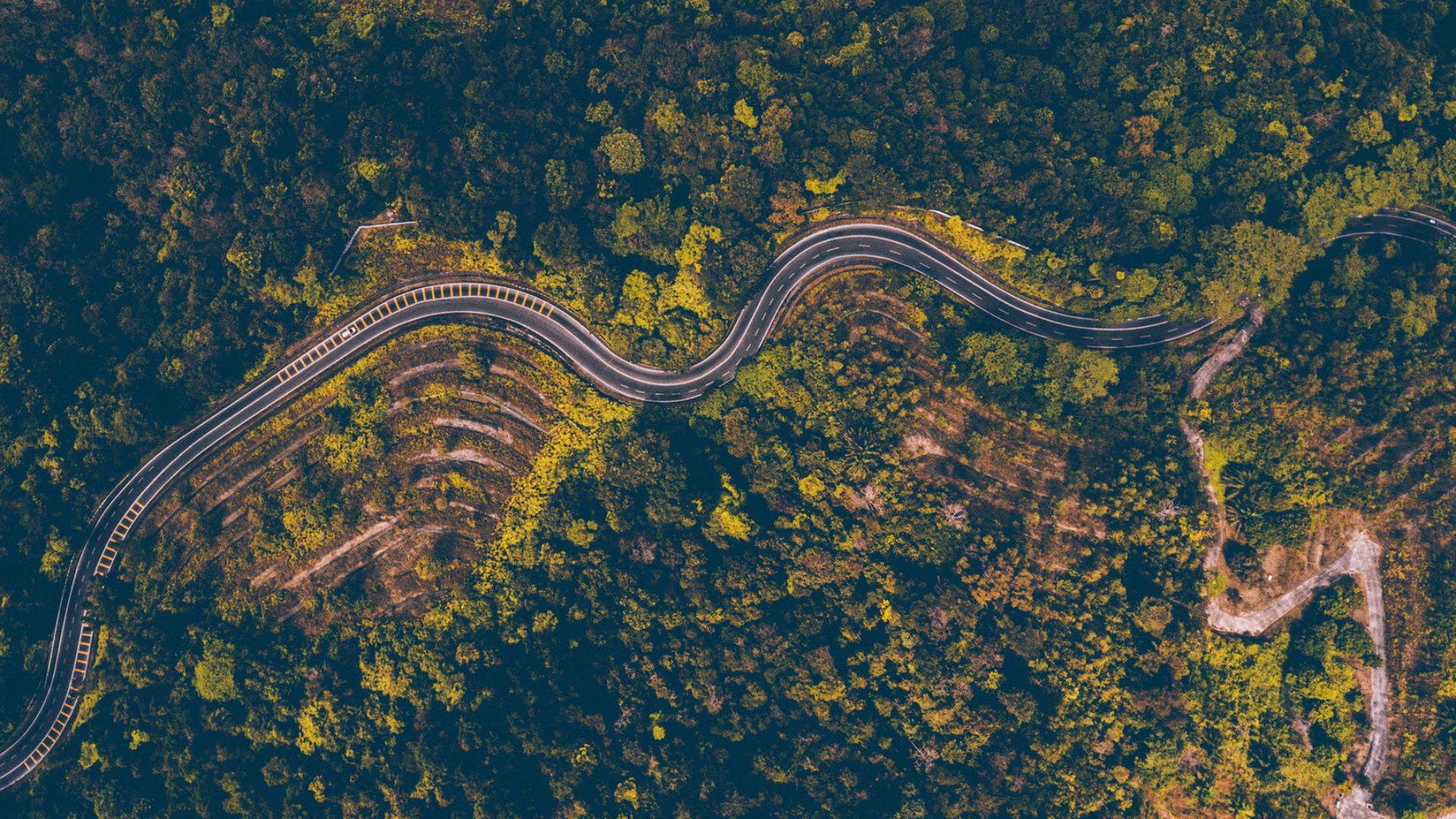 Aerial_shot_land_rural_Pexels_jf.jpg