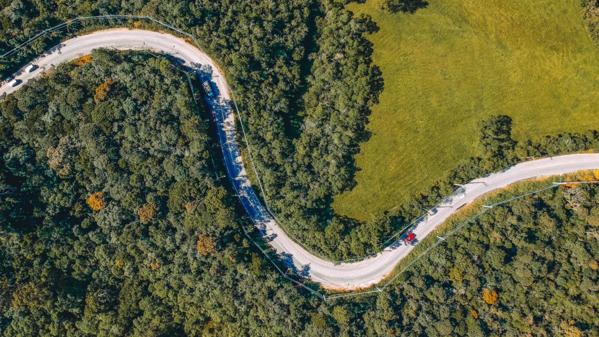 Aerial view of a natural environment