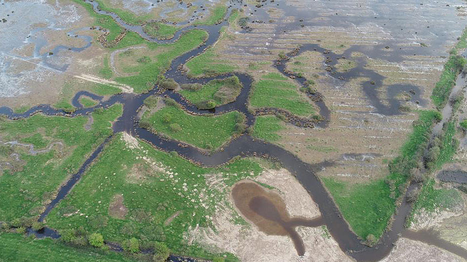 Wild Ken Hill estate marshland