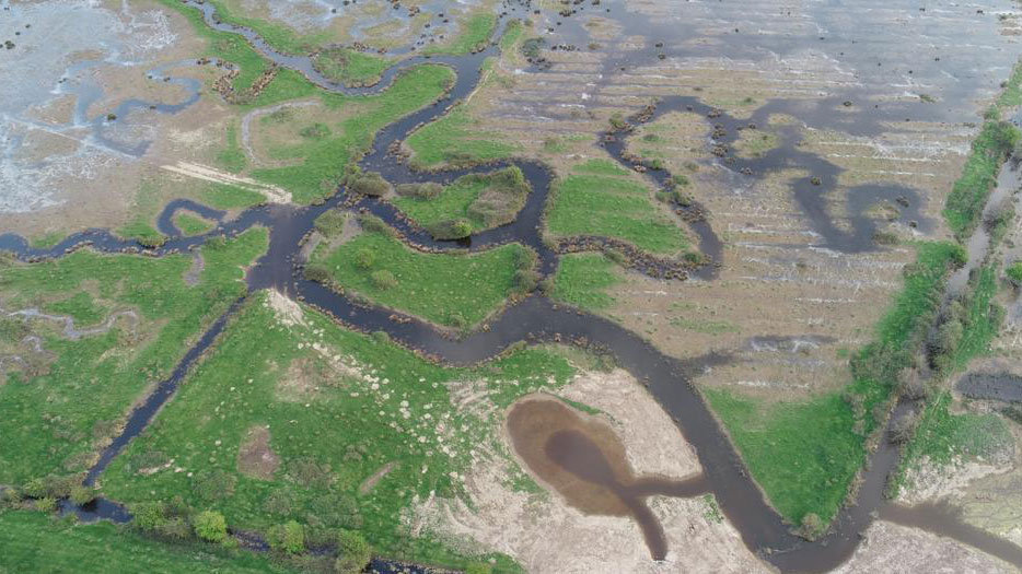 Wild Ken Hill estate marshland