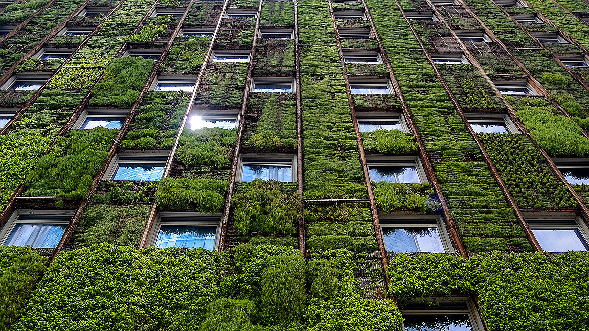 Facade of tall building with leaf-covered green wall