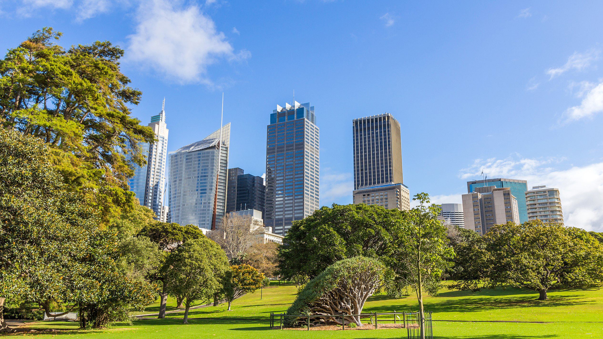 Sydney skyline