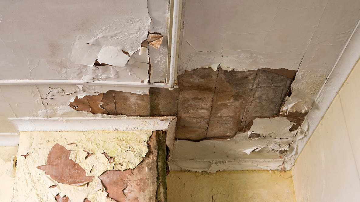 Why surveyors are key to disrepair counterclaims