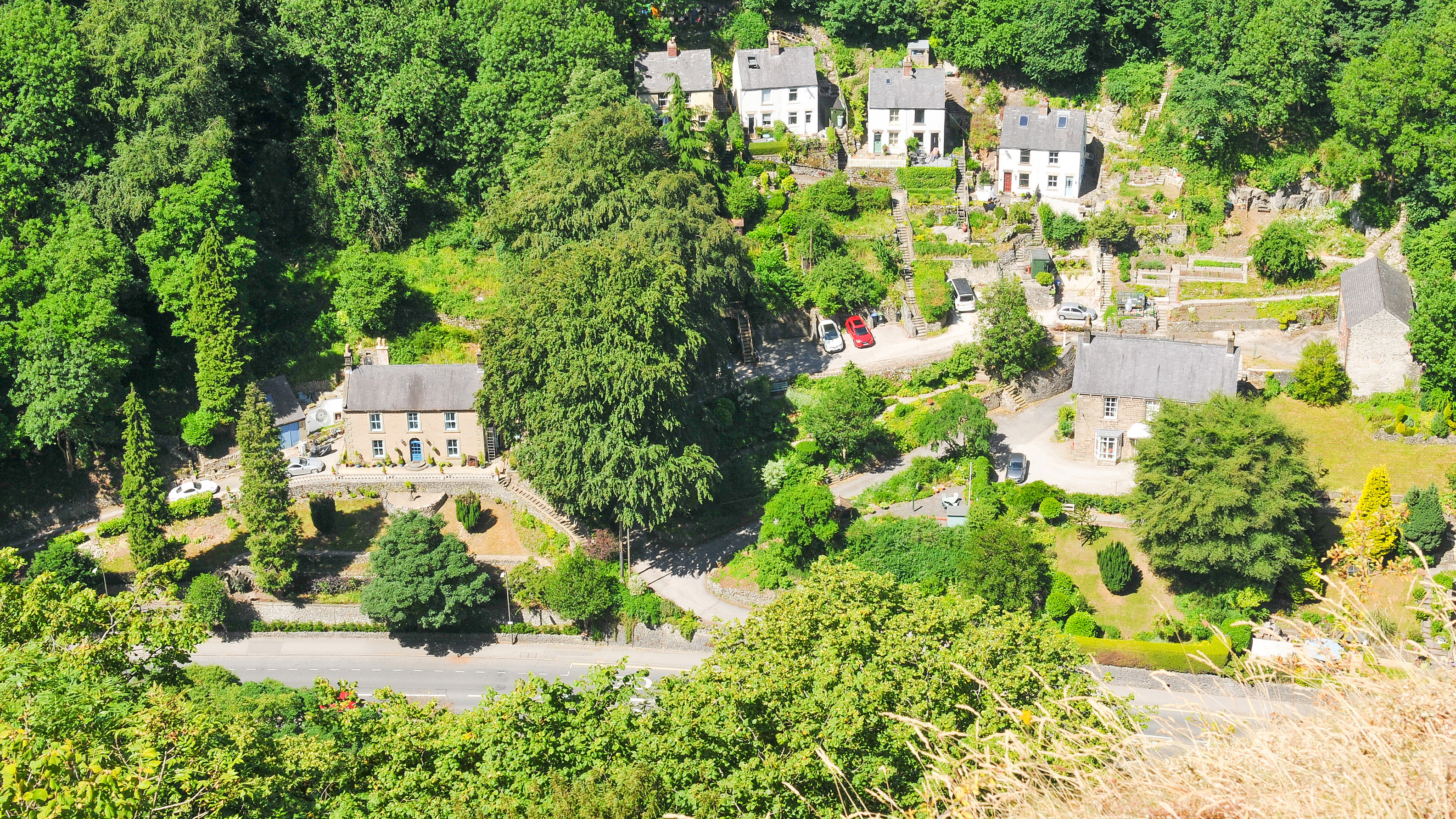 Rural detached houses on a green hill with a road running in front