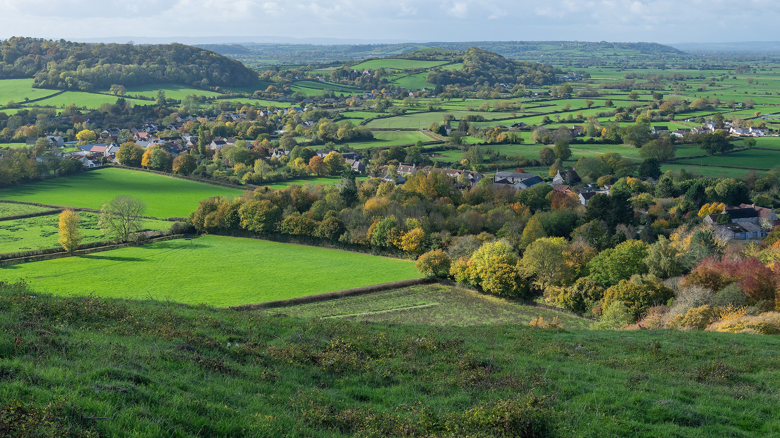 CG Fry judgment: a mixed ruling?