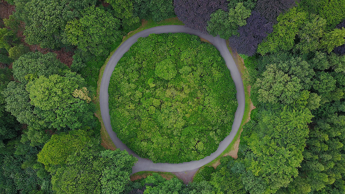Overhead shot of roundabout surrounded by green trees