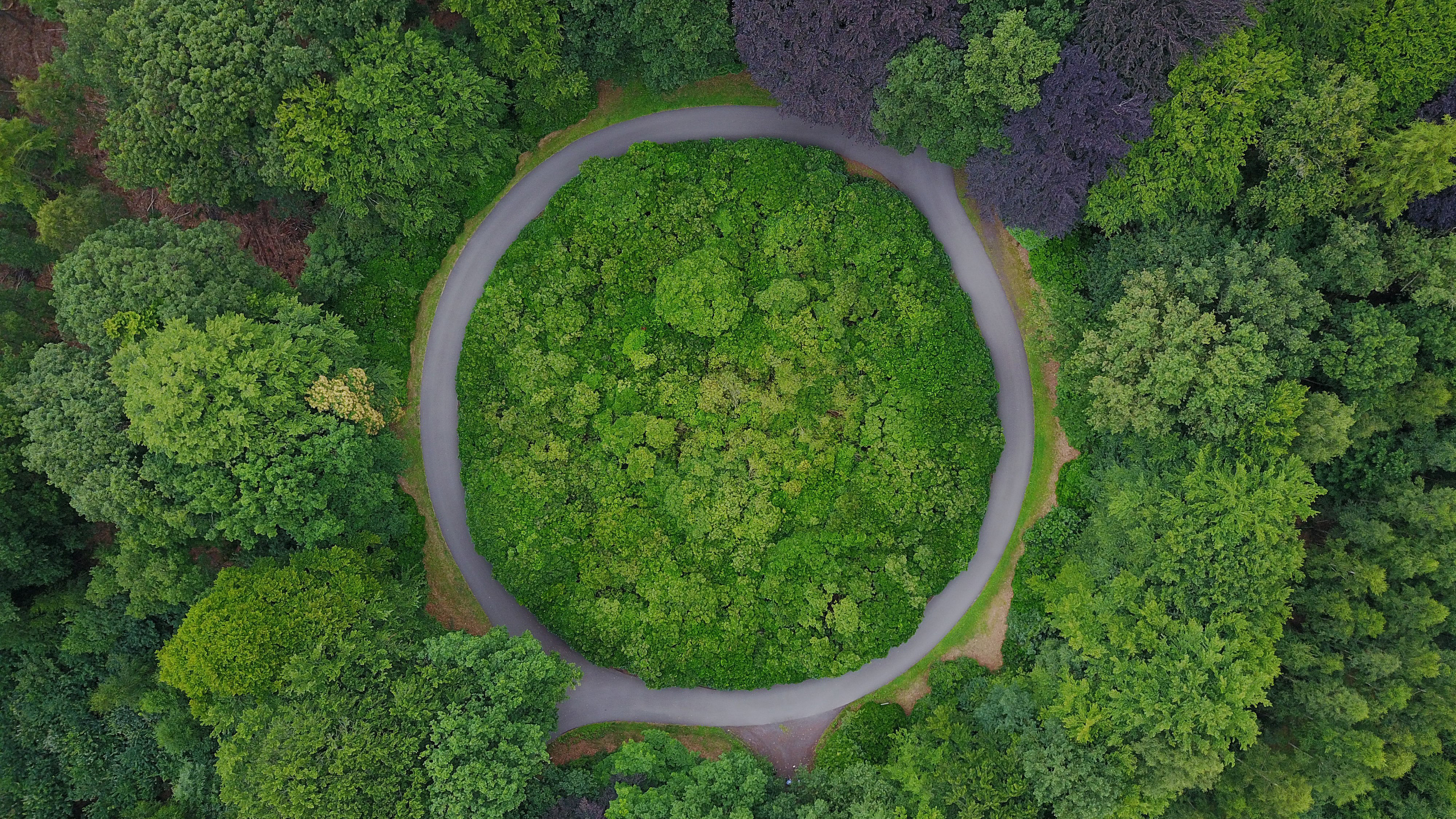 Overhead shot of roundabout surrounded by green trees