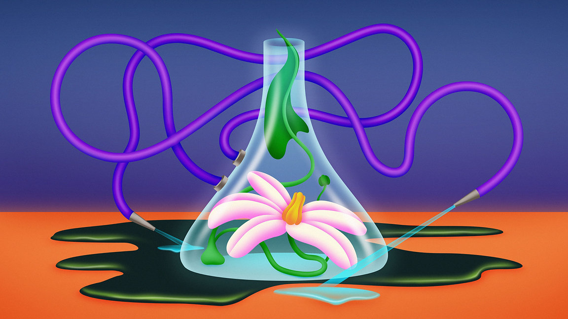 Illustration of a plant in a flask with two oil hoses