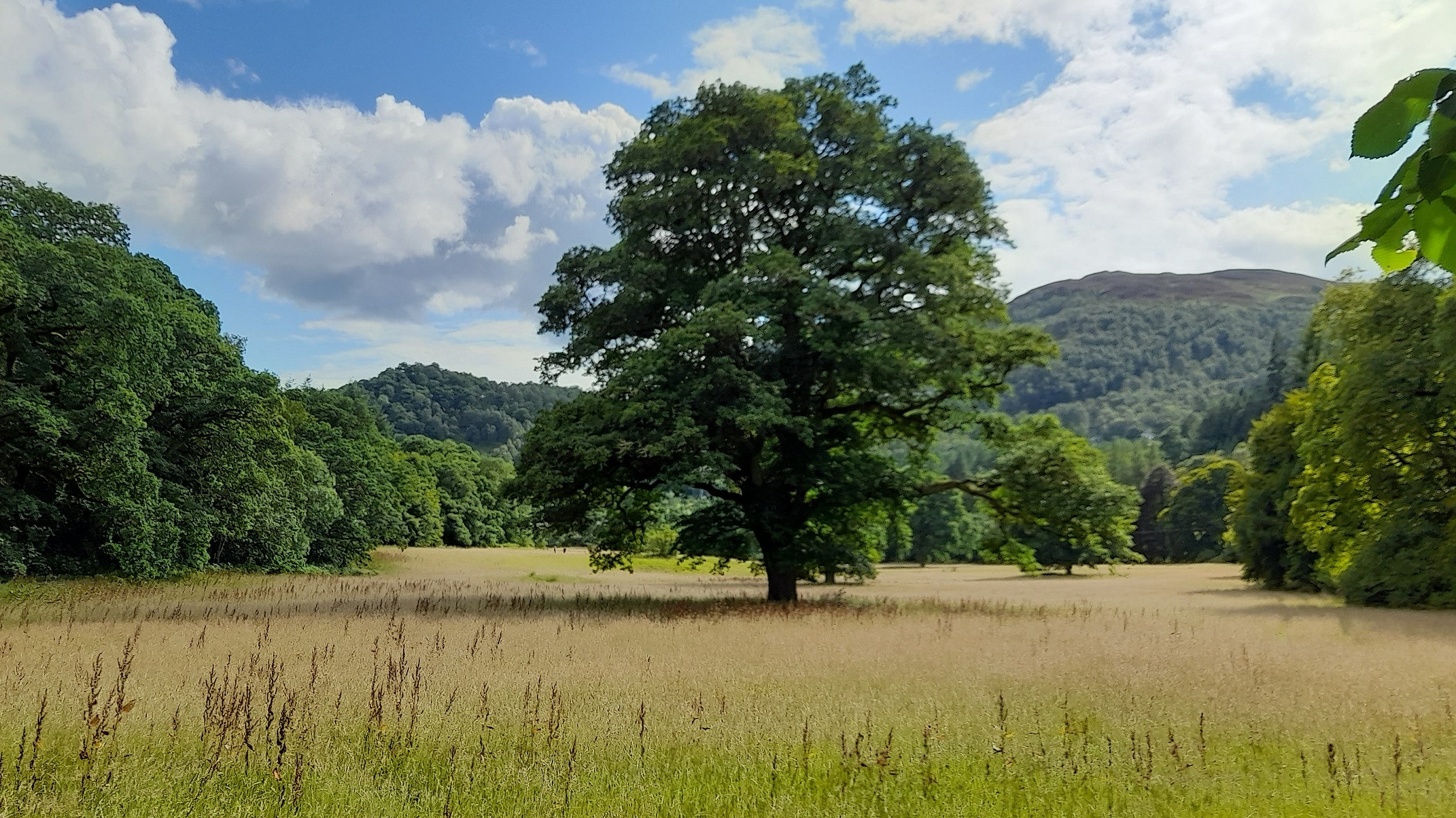 Scotland highlands countryside