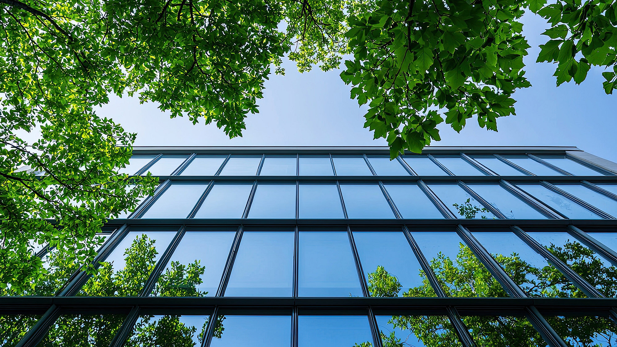 Promoting sustainability through standards, skills and member expertise