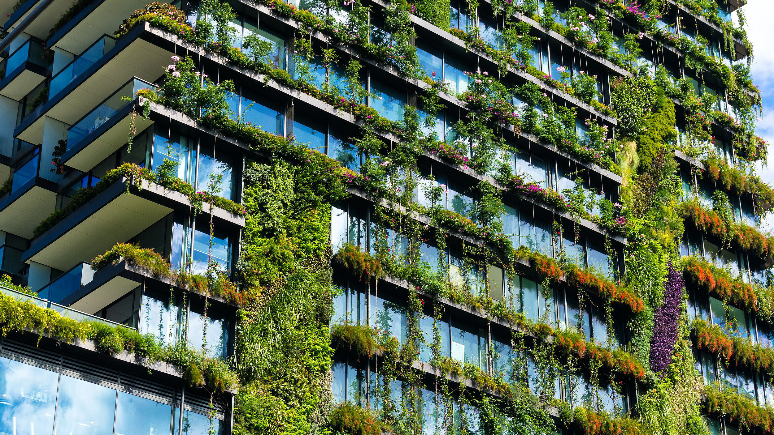 High rise building with multiple windows and green wall