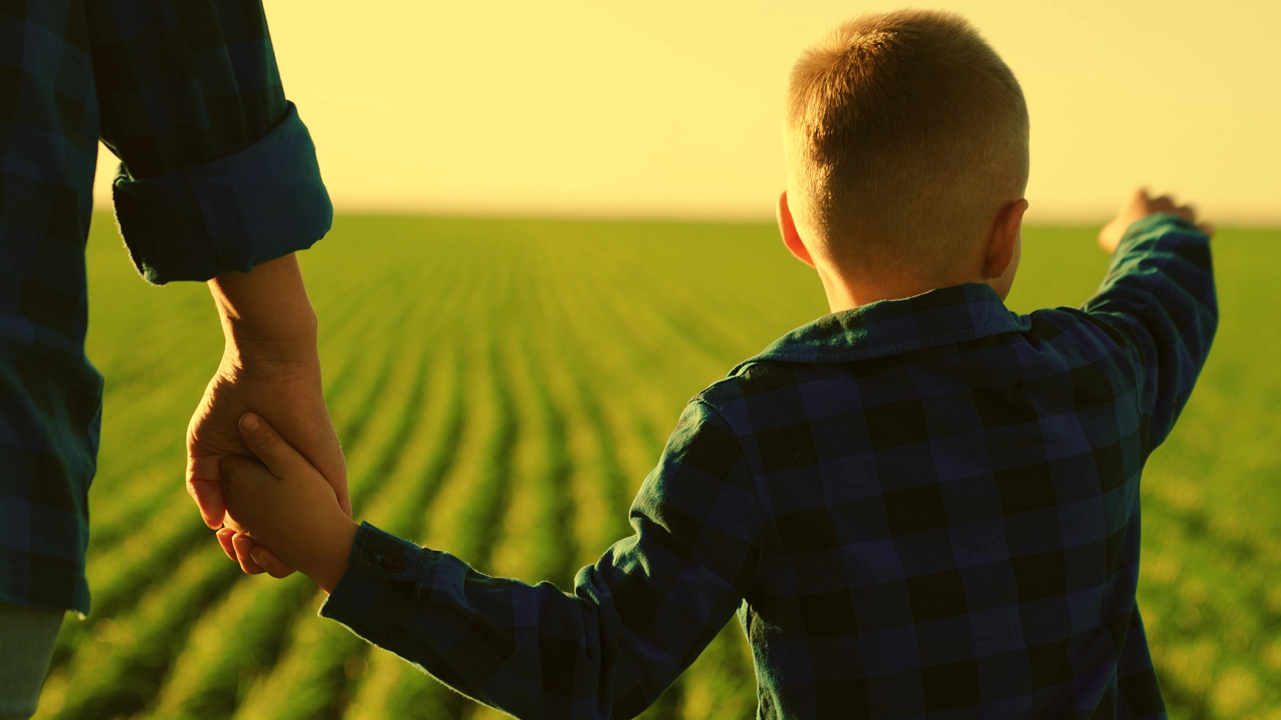Child holding adult's hand looking out over fields