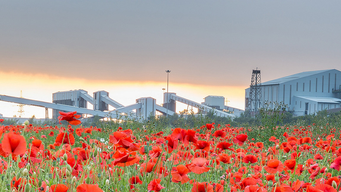 Poppies in foreground, disused colliery in background