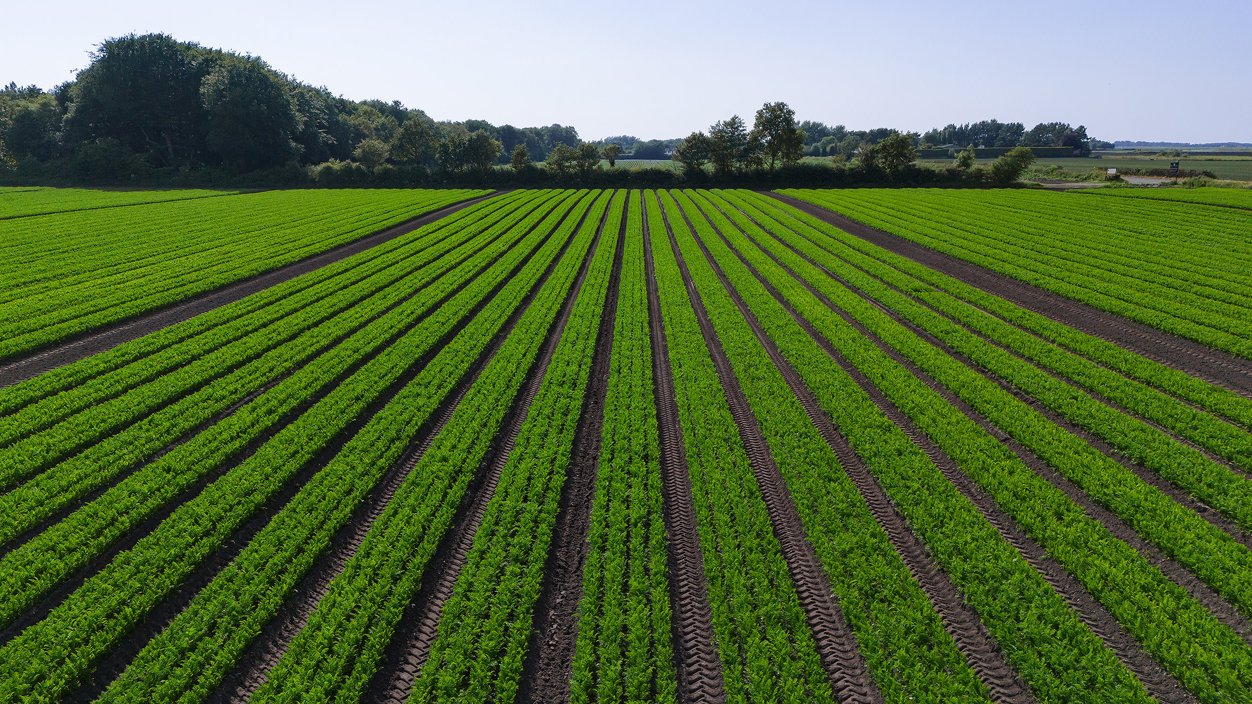 How will EIP25 affect the rural sector?