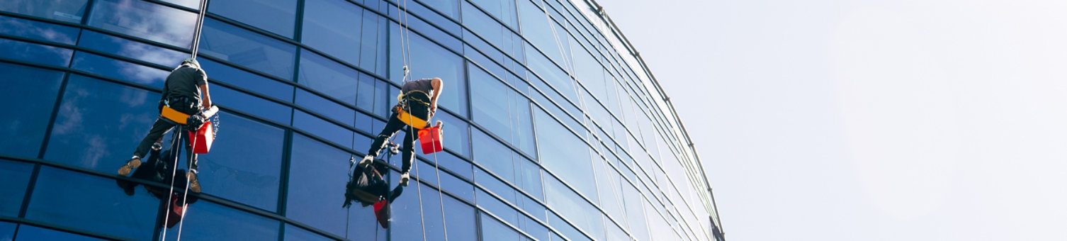 Industrial climbers cleaning blue windows outside building.