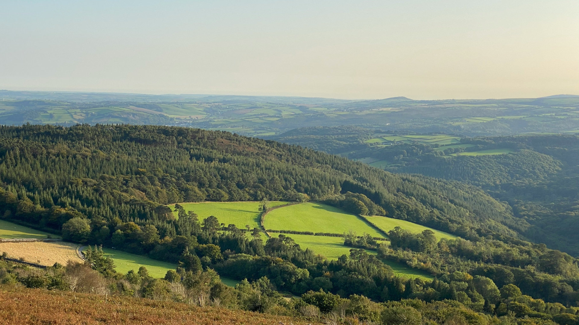 Dartmoor