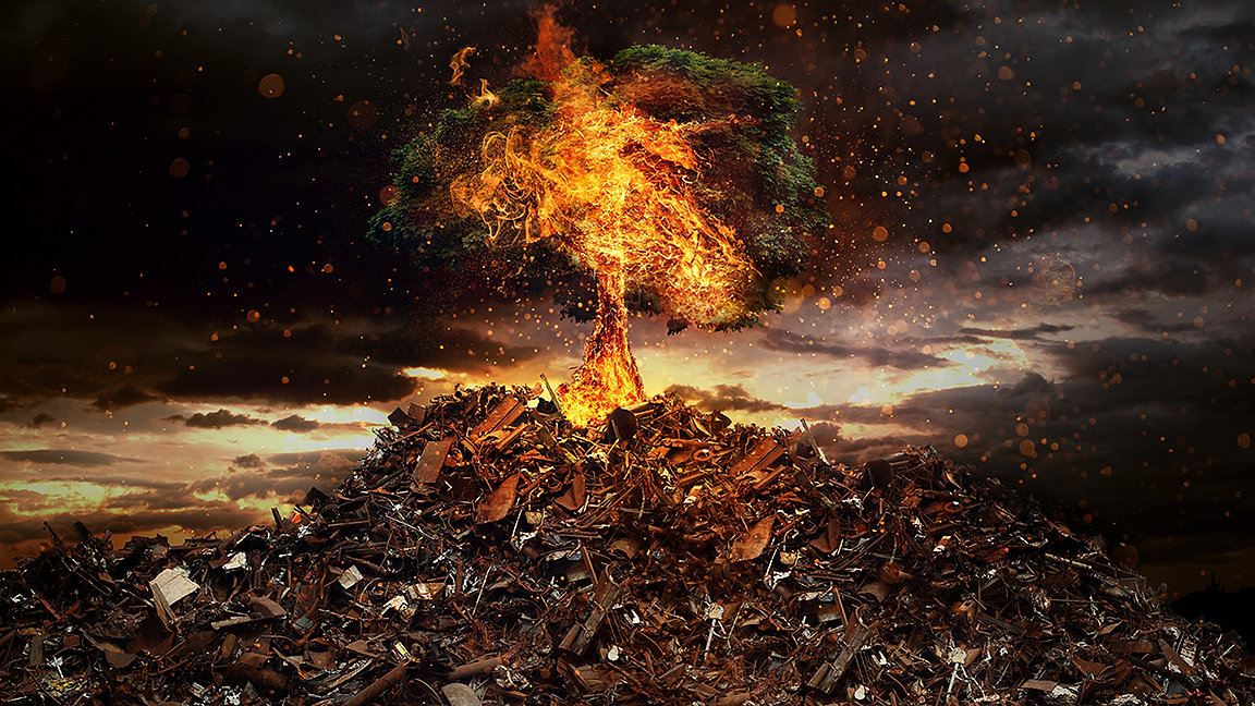 Burning tree on top of mountain of rubbish