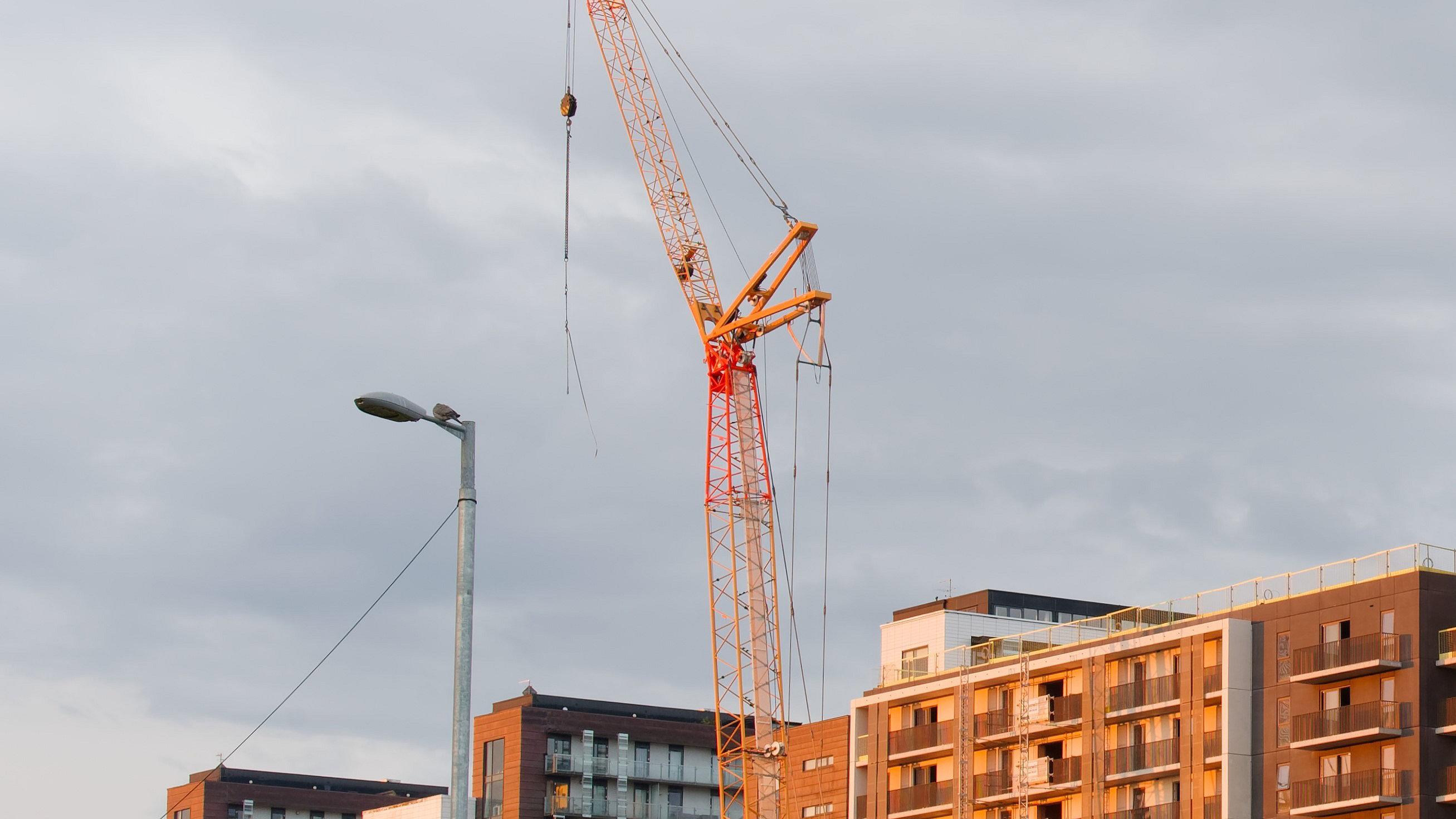 Crane in front of flats