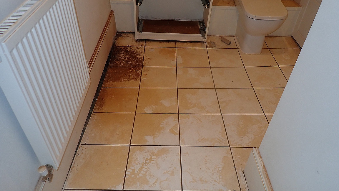 Dry rot on bathroom floor