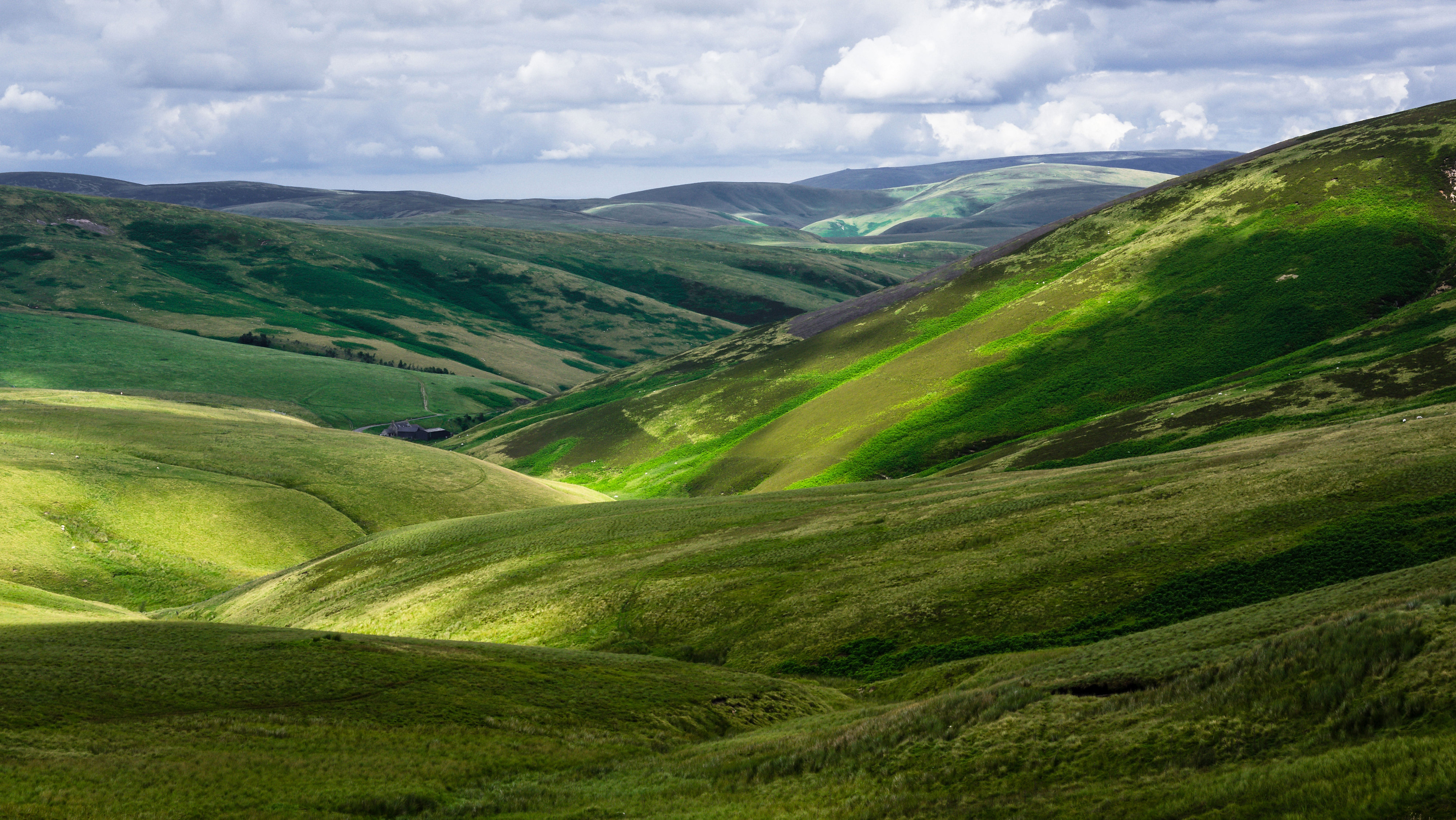 The Otterburn Ranges, Northumberland 