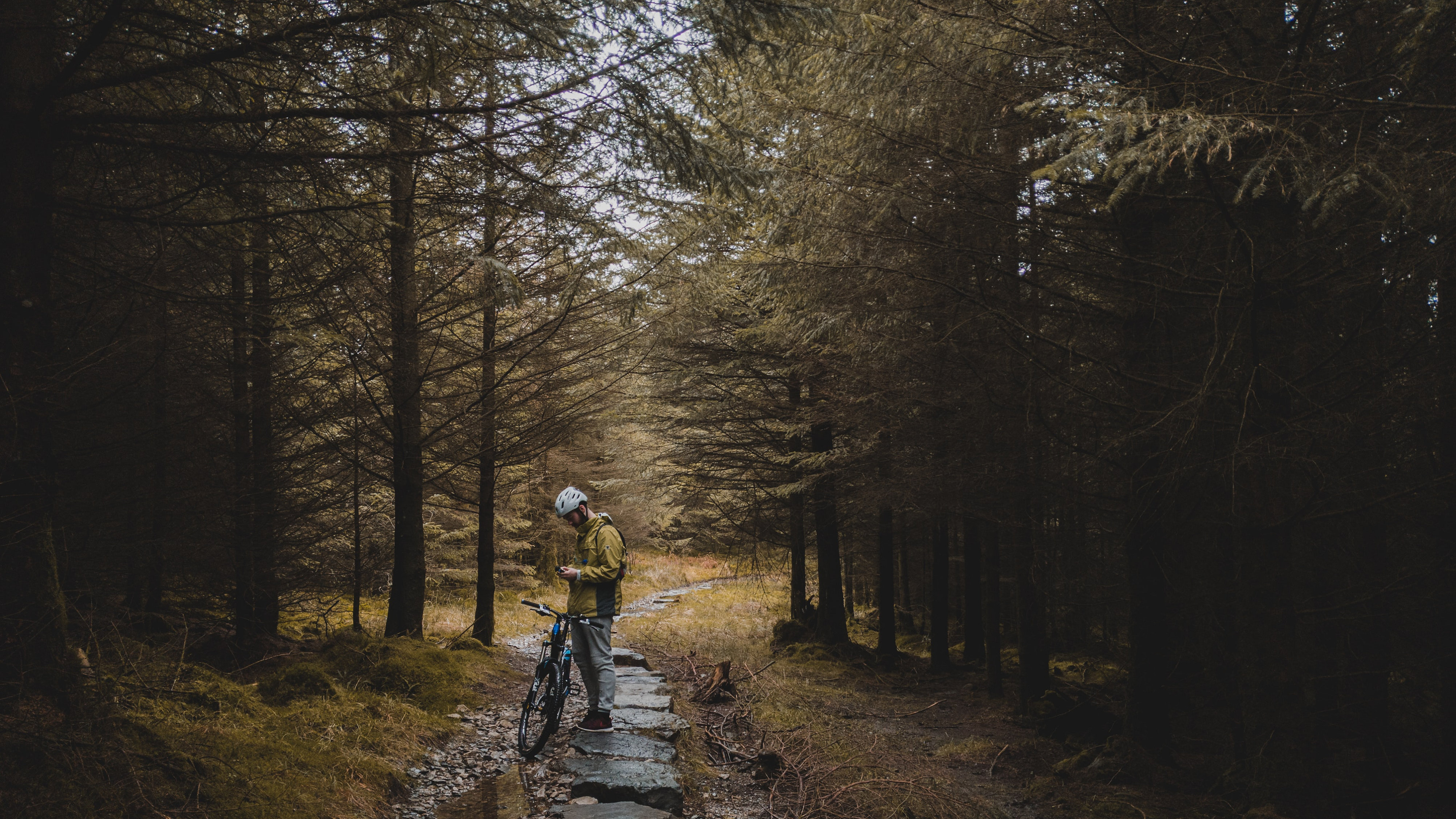 Biking in Grizedale forest, Ambleside, UK 