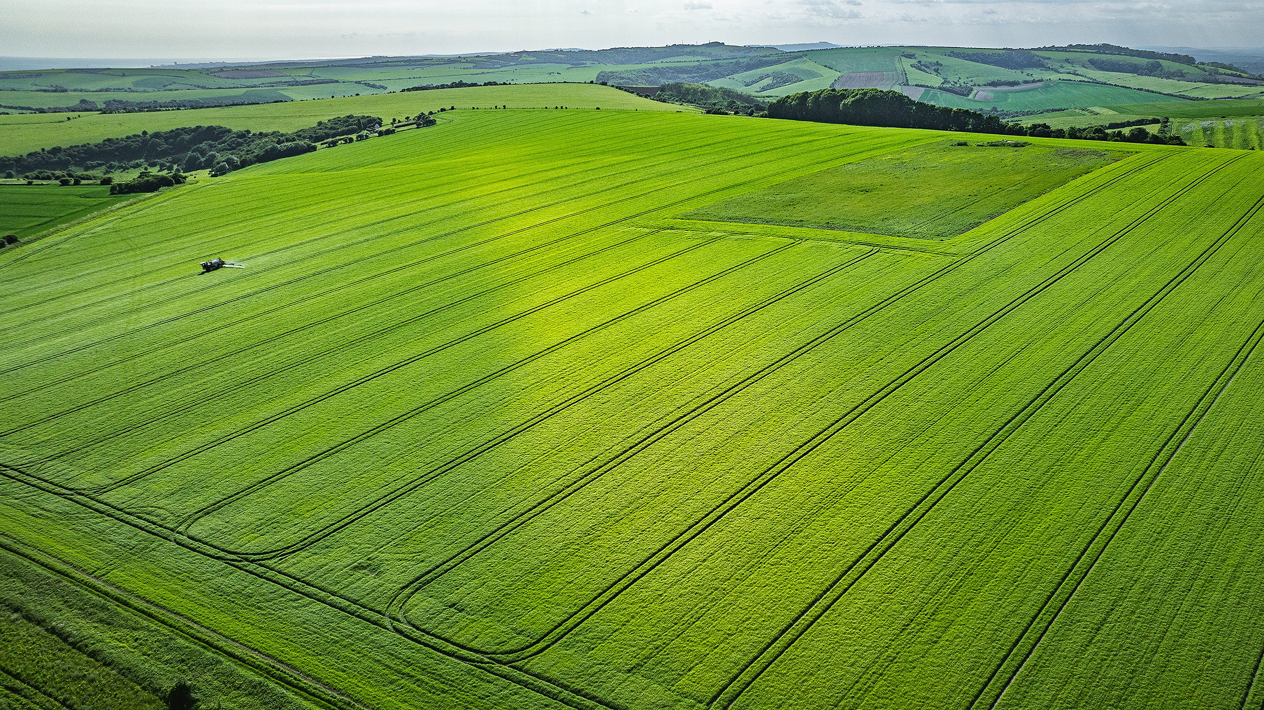 RICS updates farm business tenancy agreements 