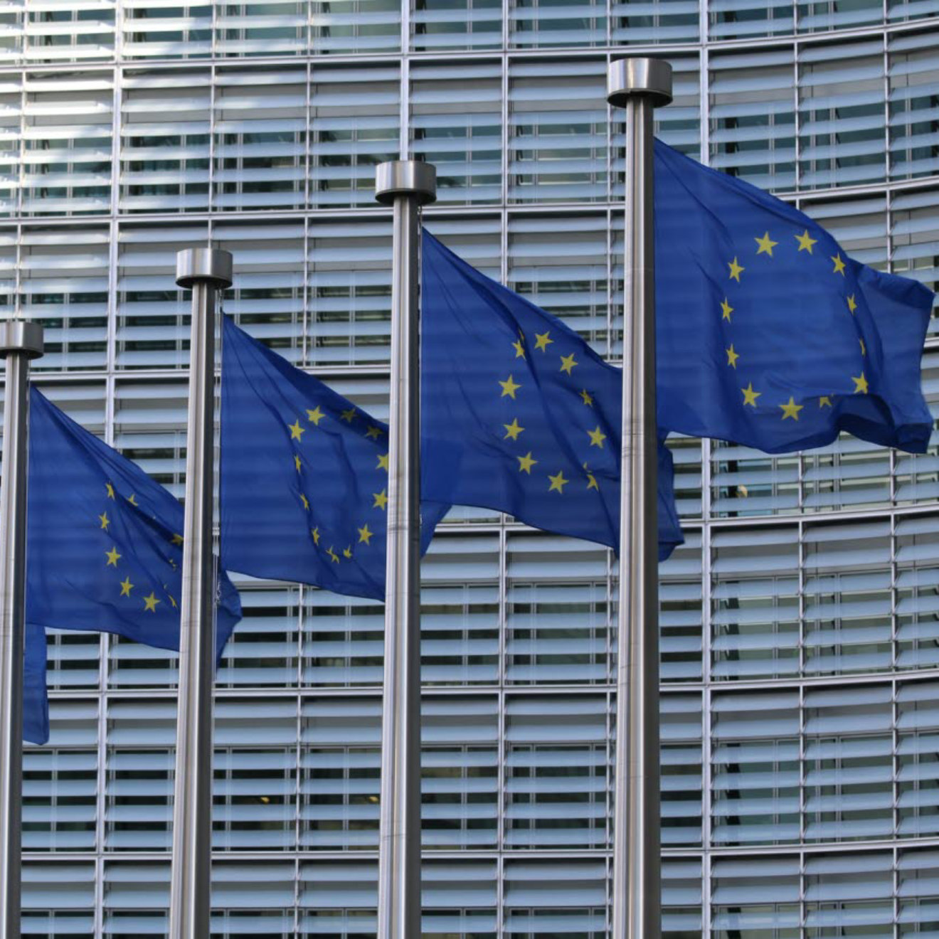 European_Union_flags__European_parliament__Brussel