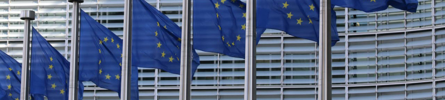 European_Union_flags__European_parliament__Brussel