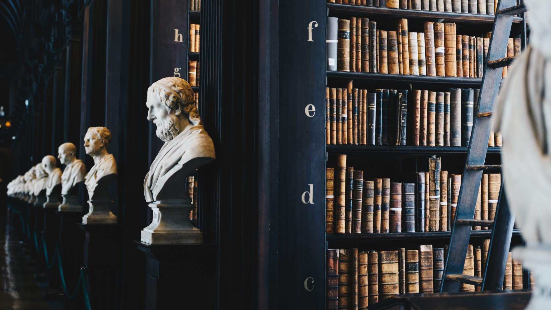 A row of shelfs of books in a library. There are statue busts at the end of each aisle.