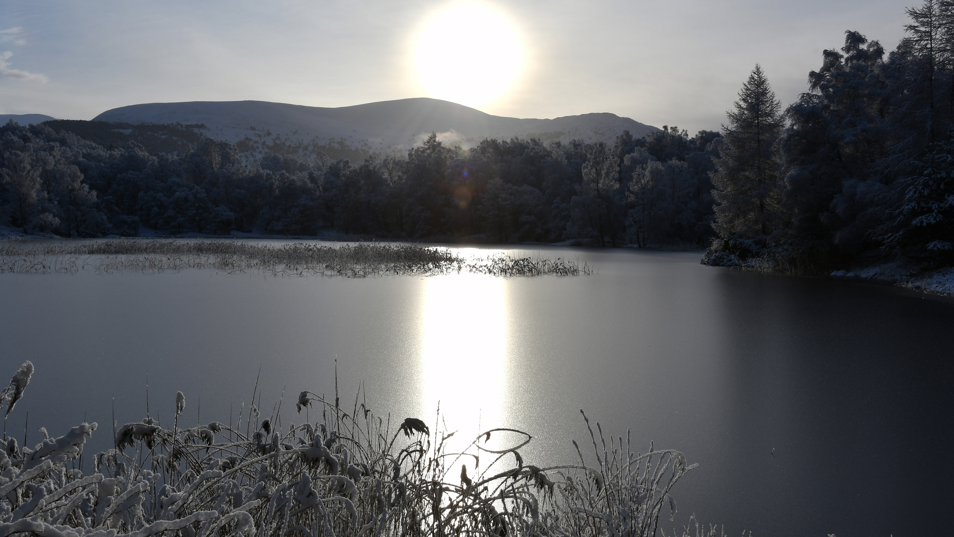 Winter sun on frozen Lochan Mors, Cairngorm National Park, Scotland