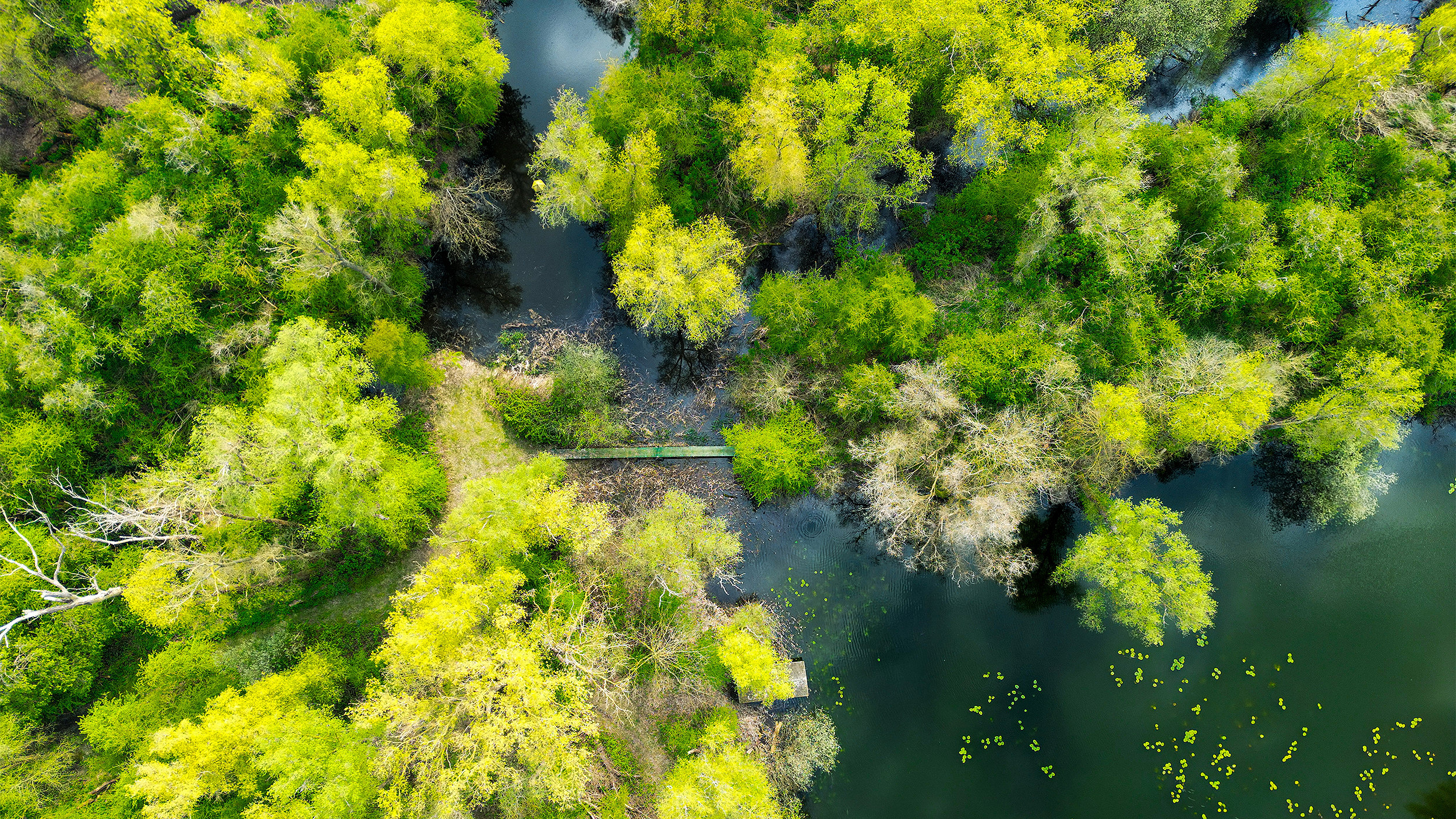 Nature reserve with woodlands and river