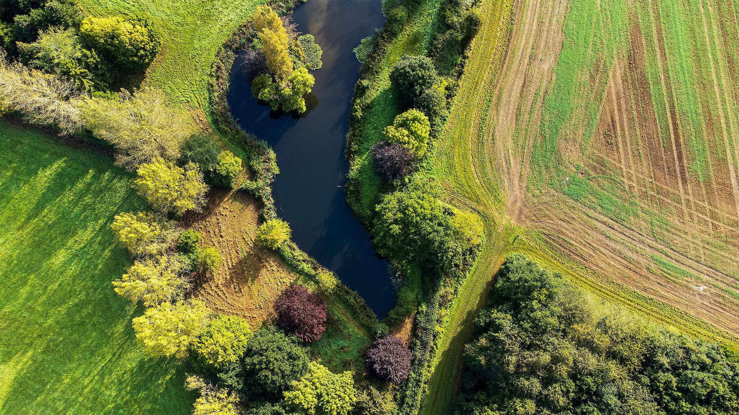 Pond set in farm land