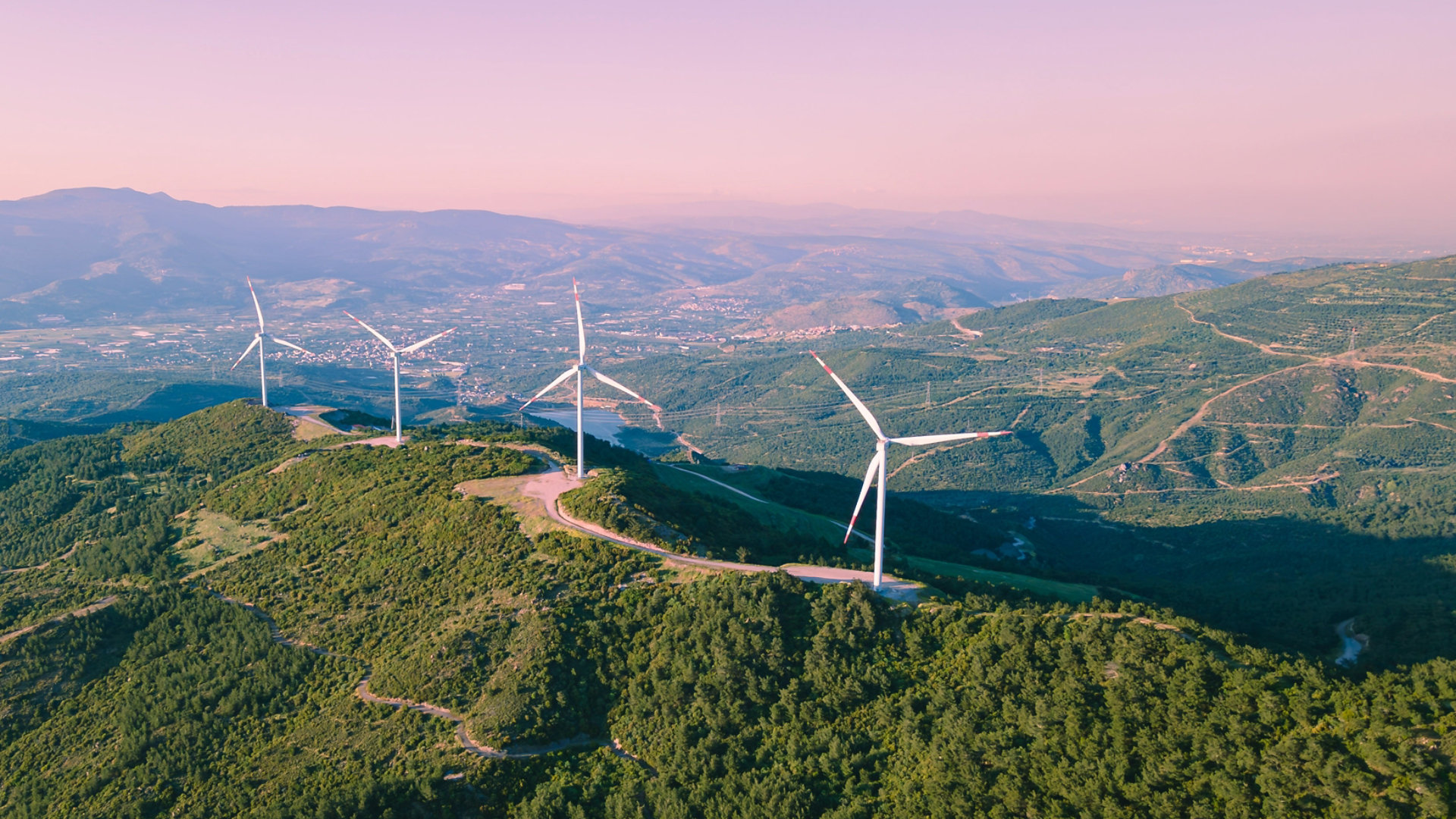 windmill farm