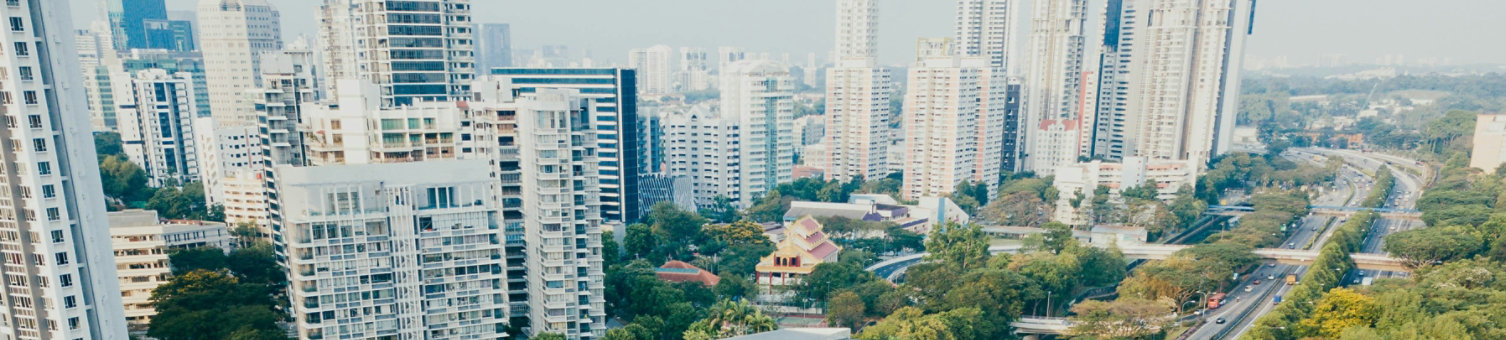 A city with greenery