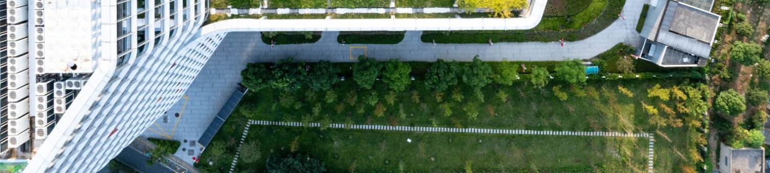 Tall building with greenery on the roof