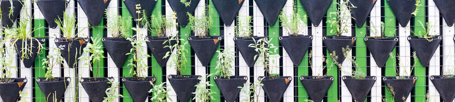 Plant in hand with data sphere