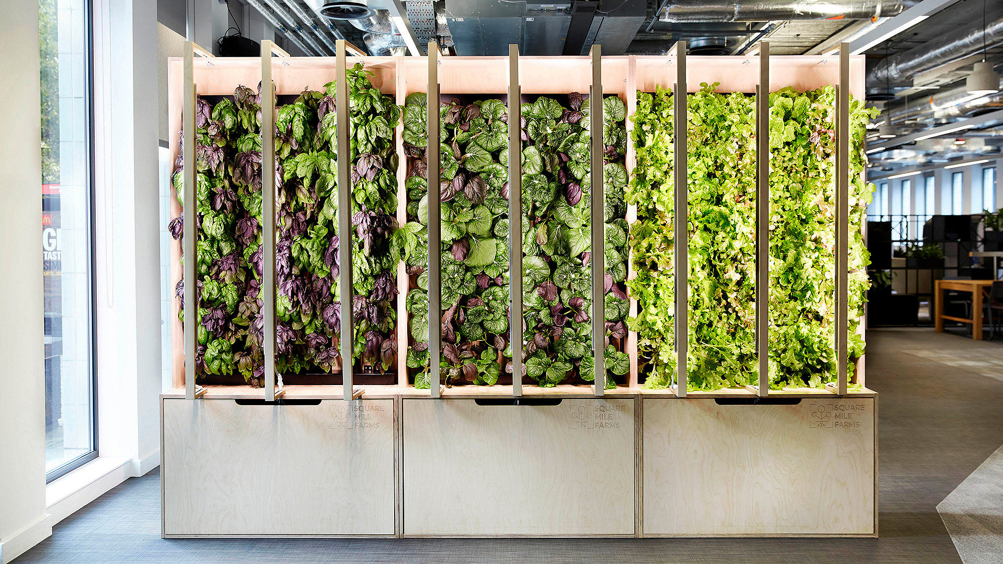 Photograph of indoor farming equipment in an office space