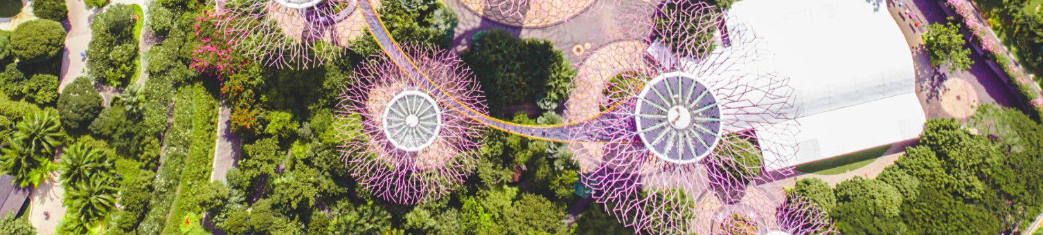 Singapore from above