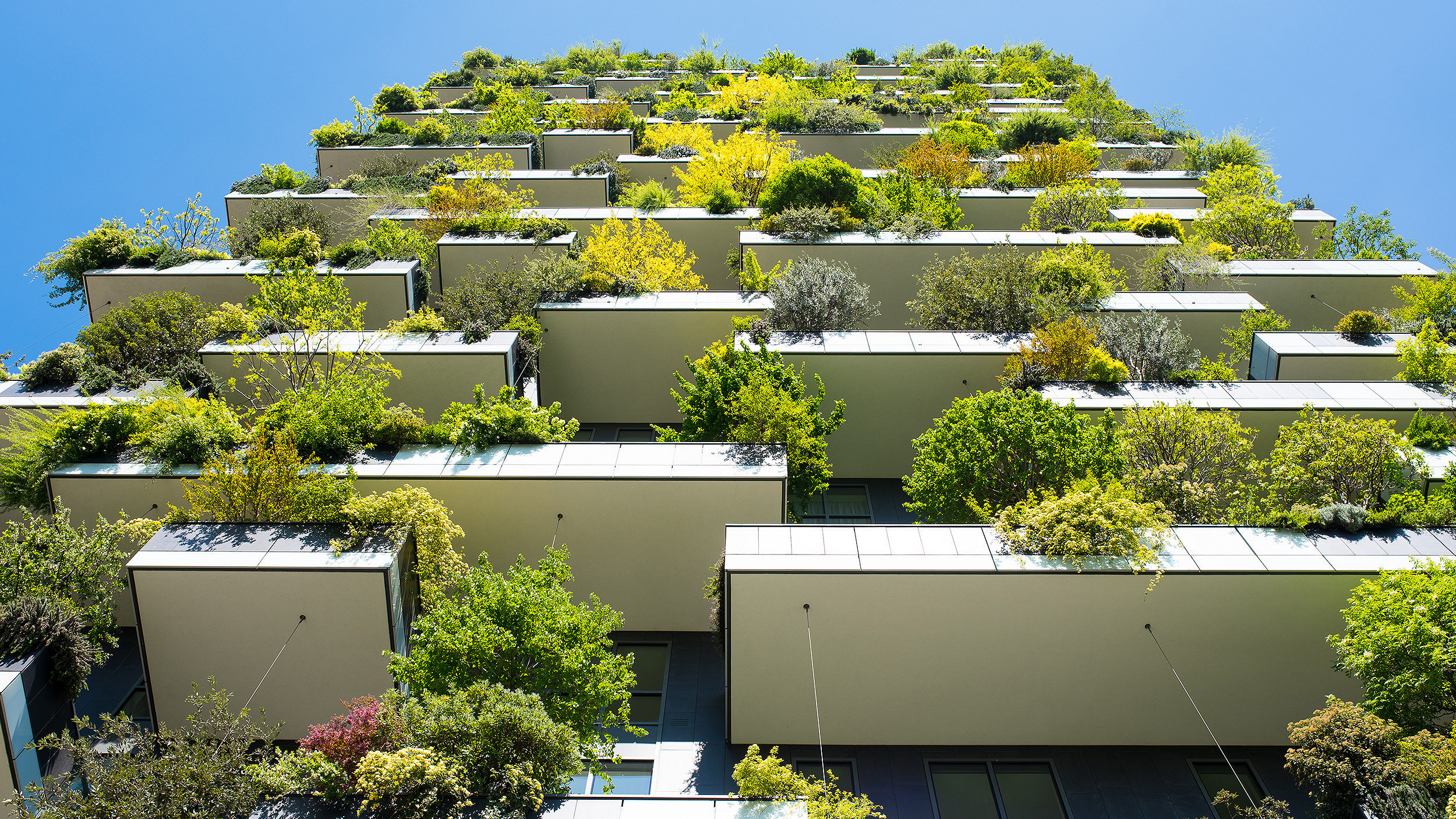 Photo of the Bosco Verticale building in Milan