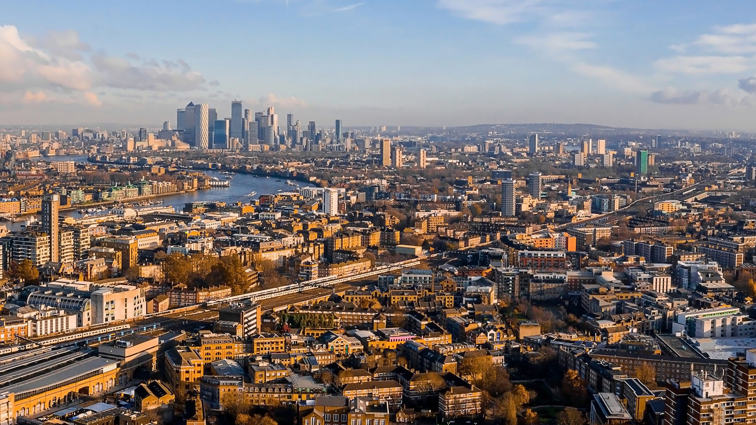 Members must consider risks and duties of expert witness services