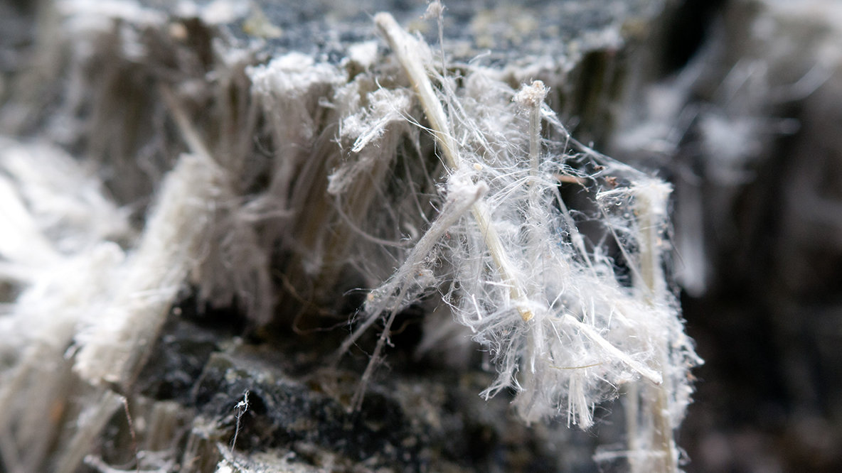 Understanding asbestos management and removal 