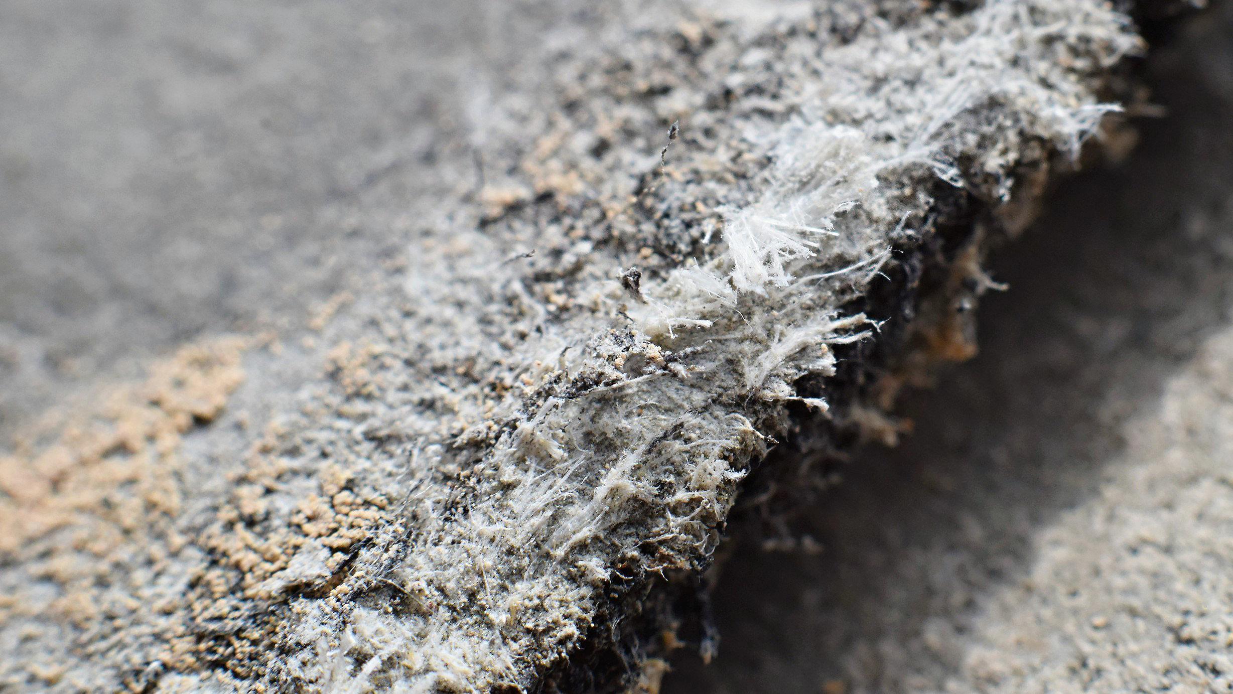 Asbestos on roof