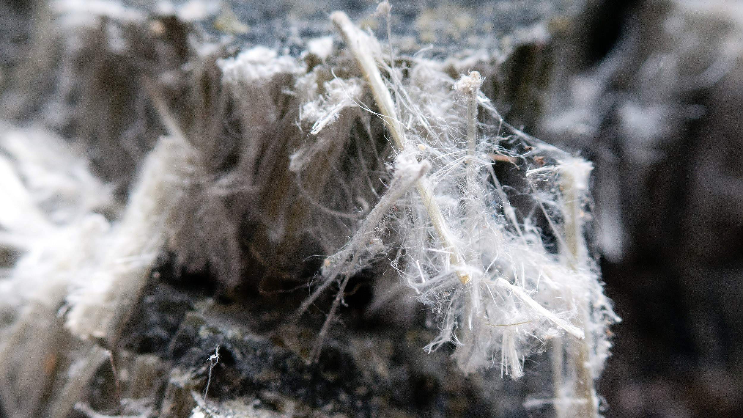 Firm found guilty of circumventing asbestos removal law