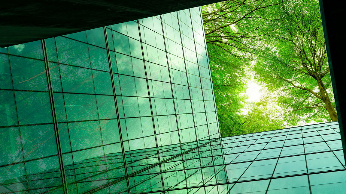 Glass office building with leaves reflected in glass and visible above
