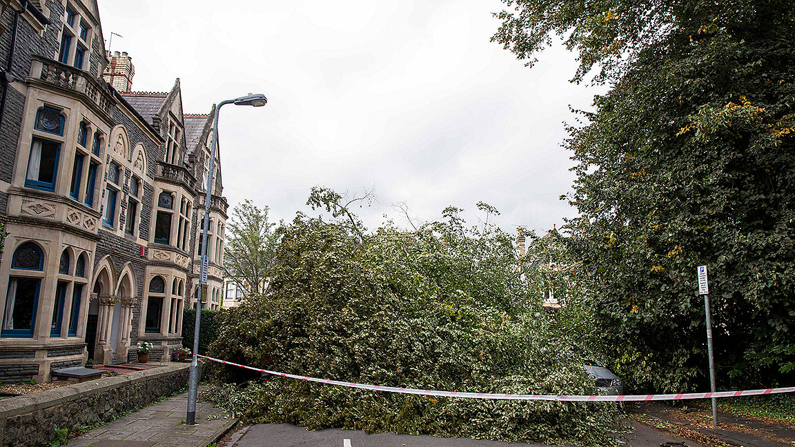 Fallen tree lying across the road and a car in Cardiff after a storm