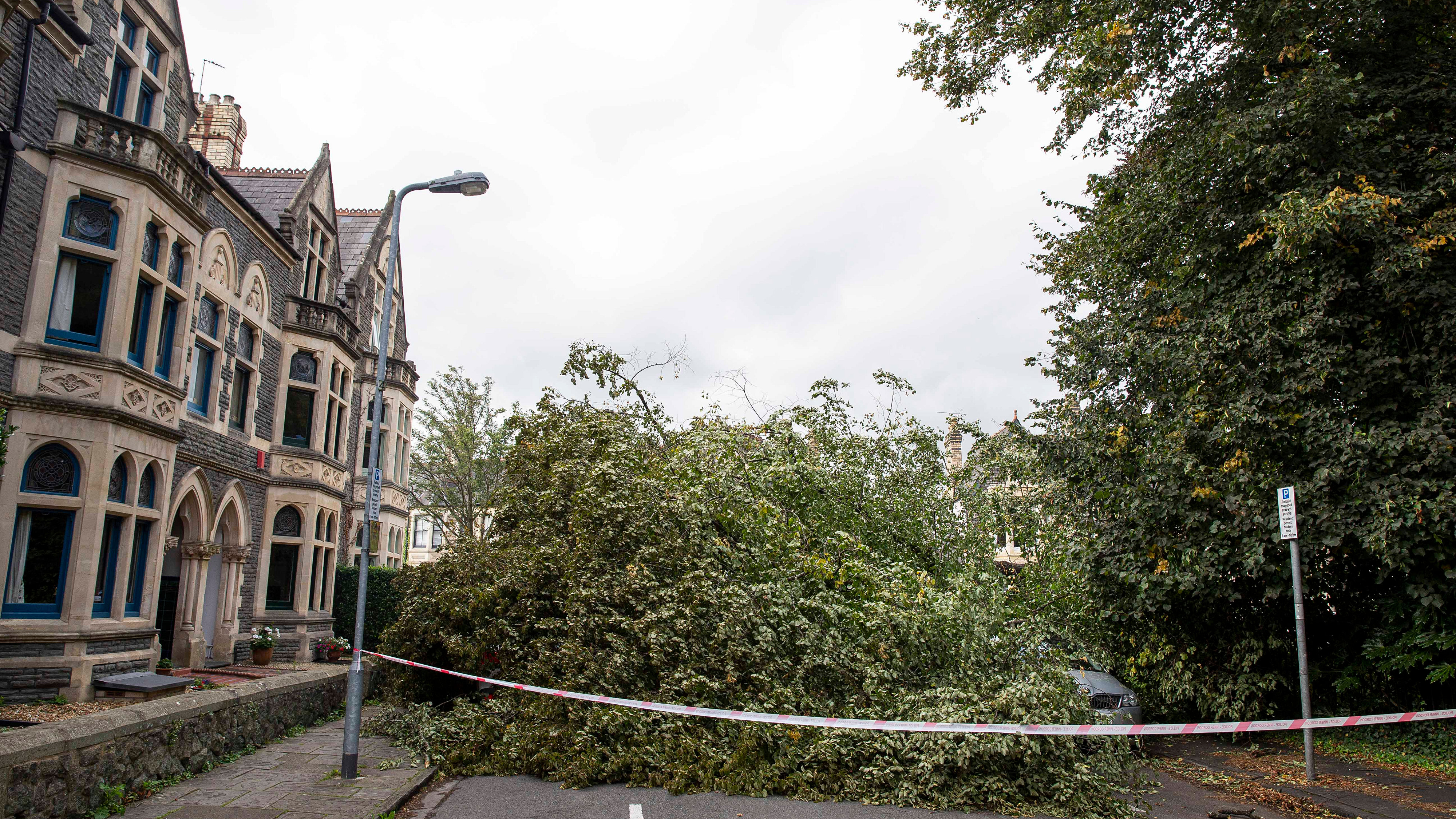 Fallen tree lying across the road and a car in Cardiff after a storm