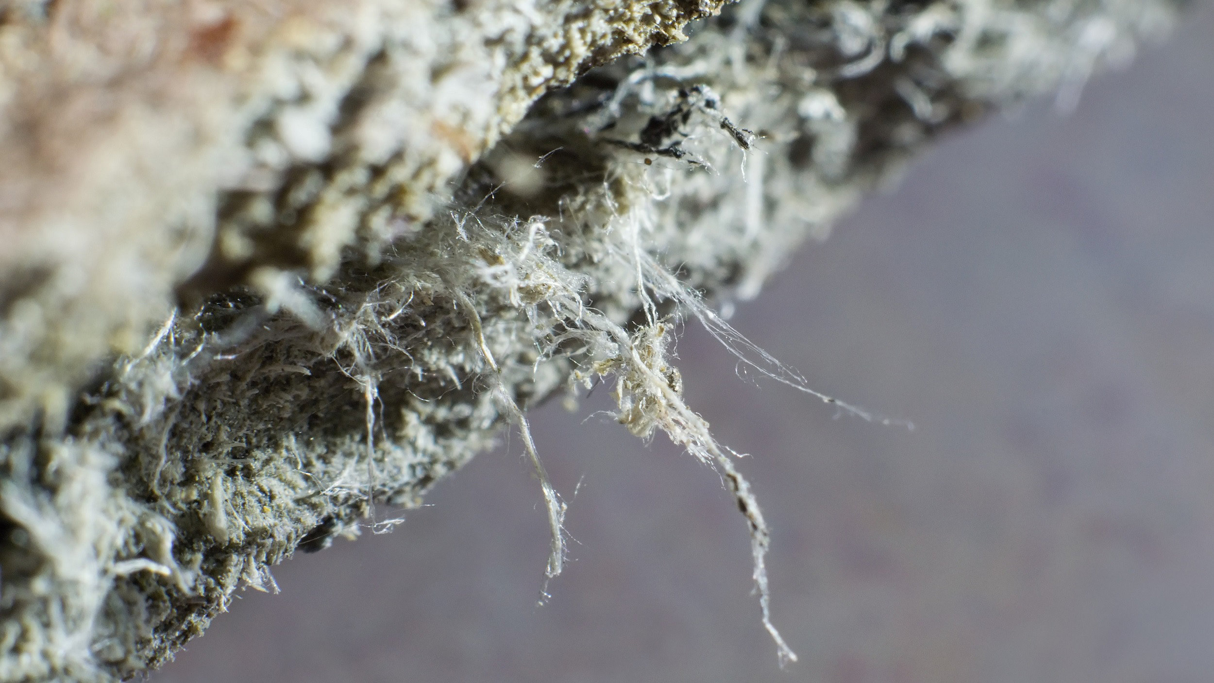 Asbestos close up