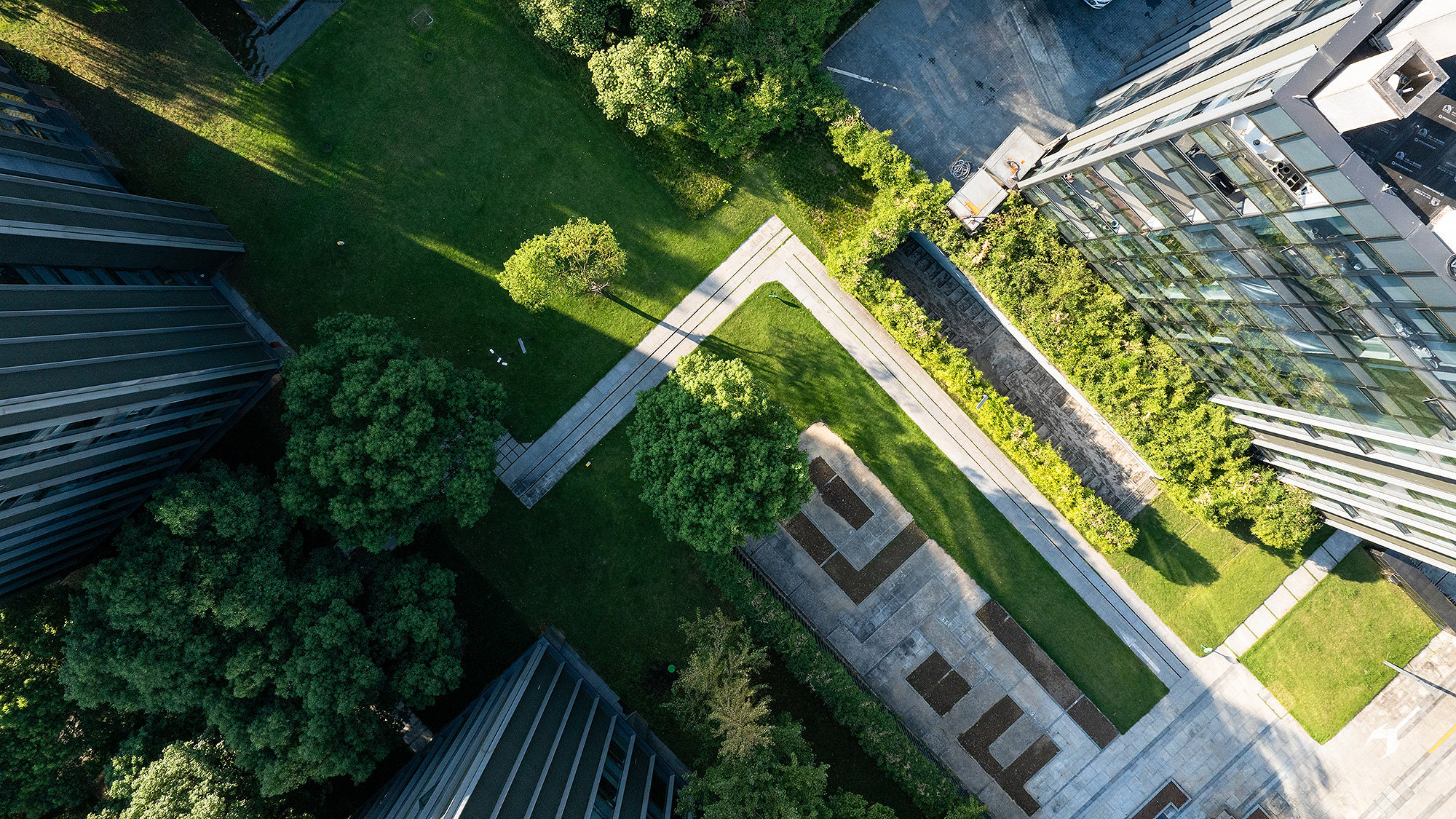 Aerial photo of roof garden on eco-building