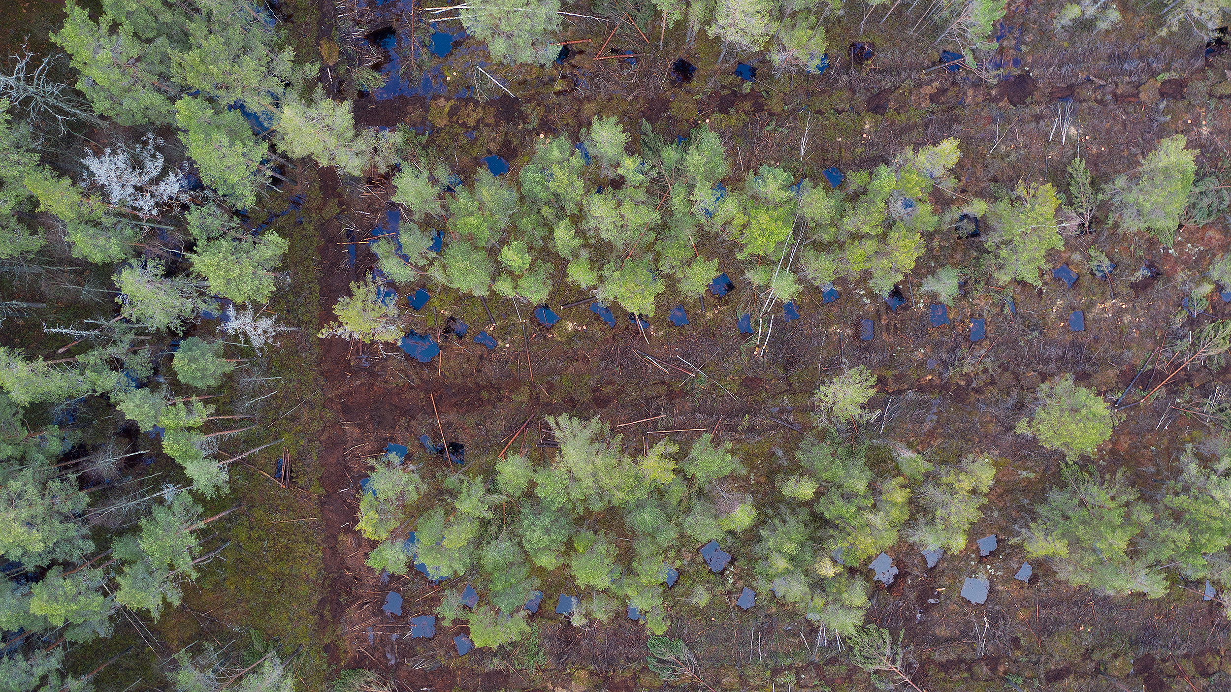 Opinion: What can land-based carbon removal offer farmers?