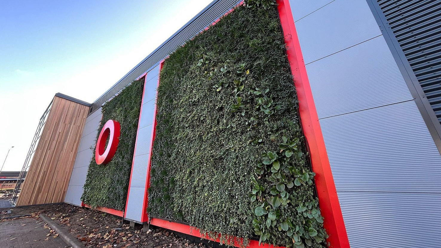 Photo of a living green wall